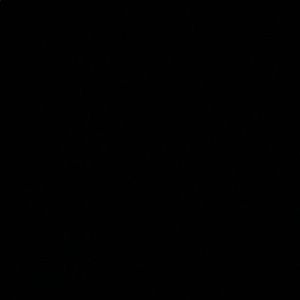 Meet your Posher, Caden